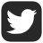 Twitter icon